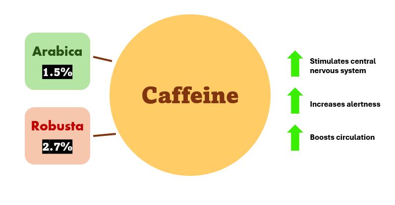 Caffeine benefits